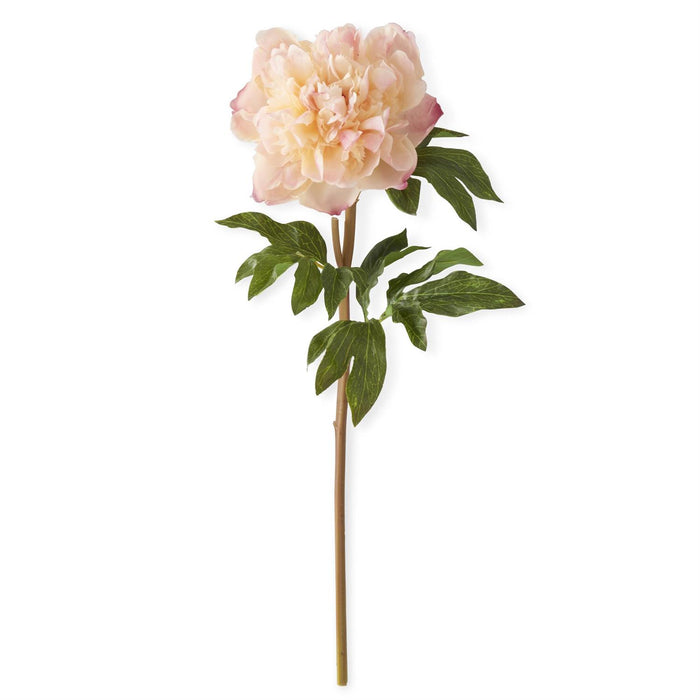 21.5 Inch Coral Charm Real Touch Peony Stem - Magnolia Lane co. Home + Garden + Gift