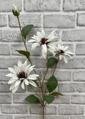 32.5" WHITE BLACK EYE SUSAN STEM - Magnolia Lane co. Home + Garden + Gift
