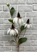 36" WHITE CONE FLOWER STEM - Magnolia Lane co. Home + Garden + Gift