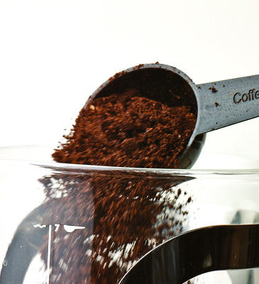 Aerolatte 5 Cup French Press