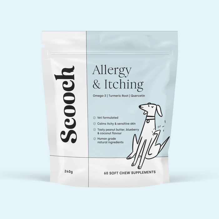 Allergy and Itching