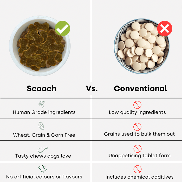 Allergy and Itching