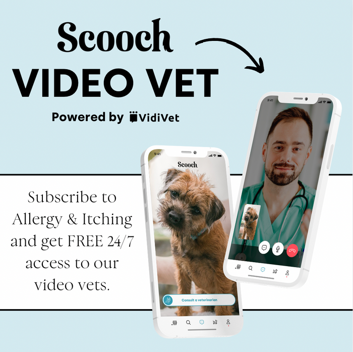 Allergy and Itching