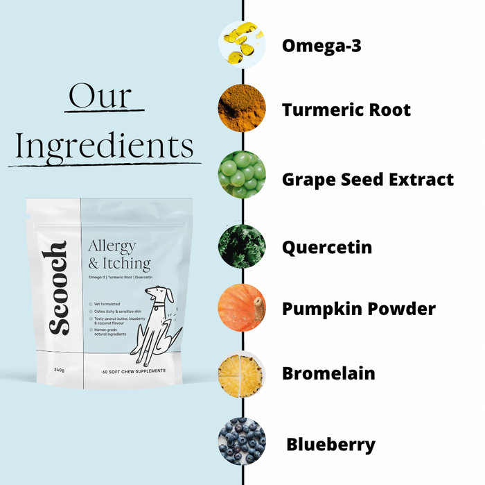 Allergy and Itching