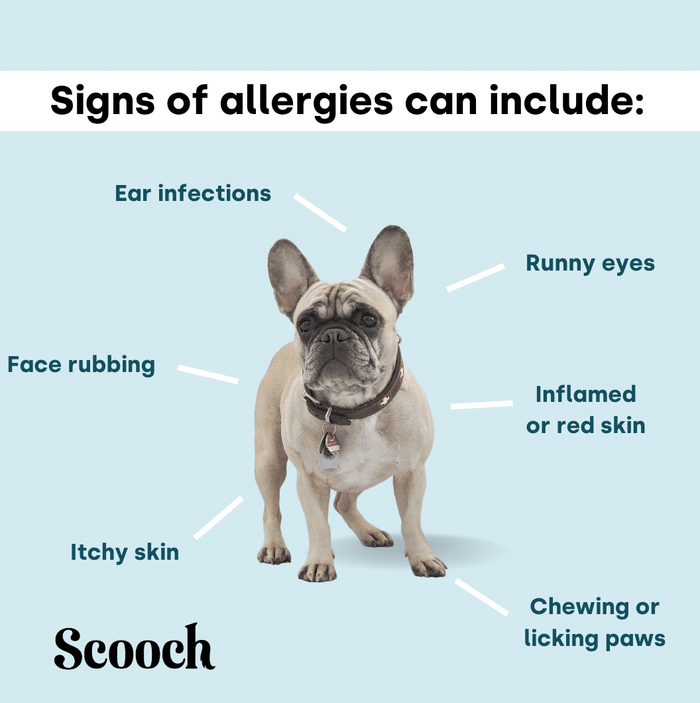 Allergy & Itching Kit.