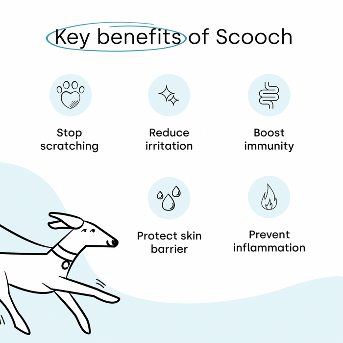 Allergy & Itching Kit