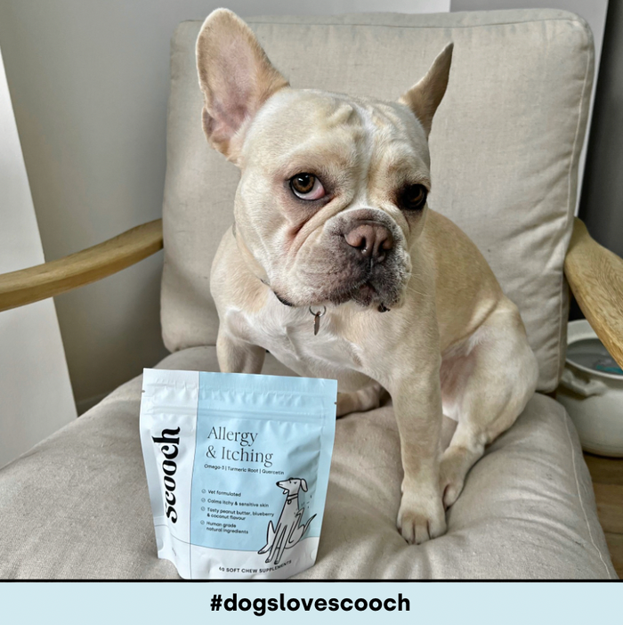 Allergy & Itching Kit.