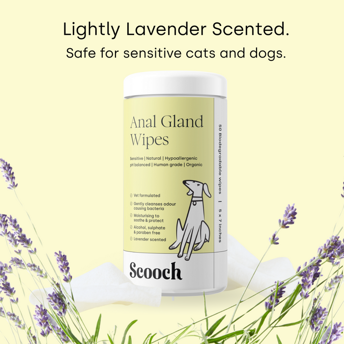 Anal Gland wipes.