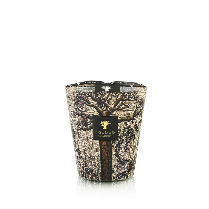 Baobab Collection - Sacred Trees Morondo