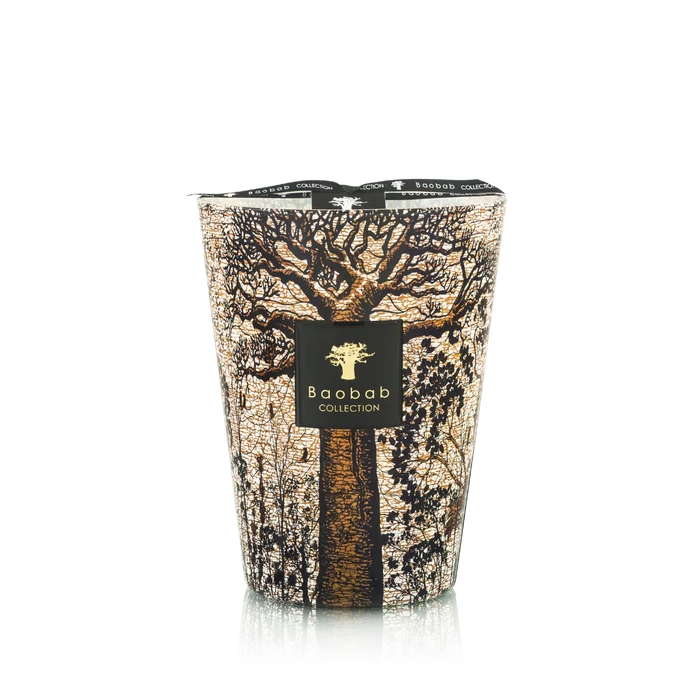 Baobab Collection - Sacred Trees Morondo