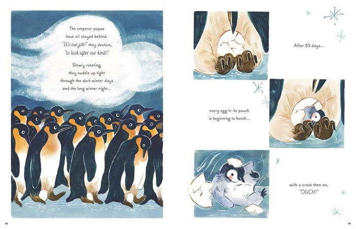 Book - 5 Minute Ocean Stories (Magic Cat) - Spread 2