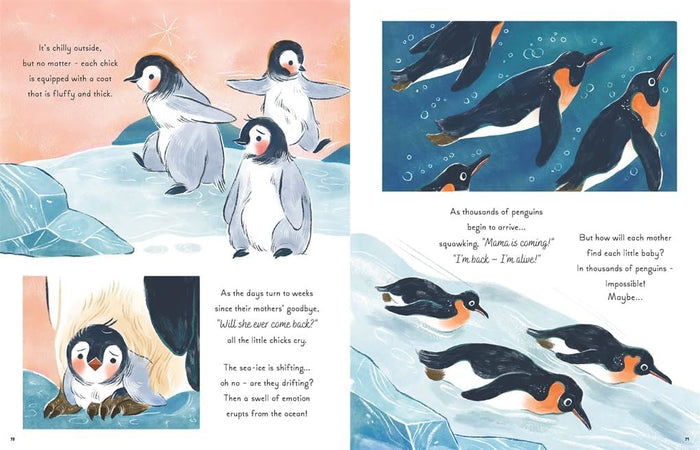 Book - 5 Minute Ocean Stories (Magic Cat) - Spread 3