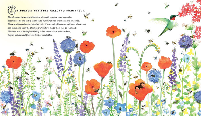 Book - One World: 24 Hours On Planet Earth - Spread 1