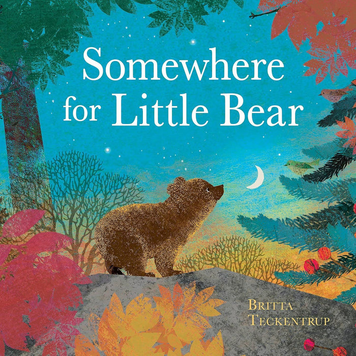 Book - Somewhere For Little Bear - Cover