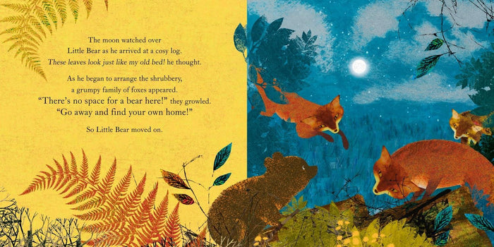Book - Somewhere For Little Bear - Spread 3