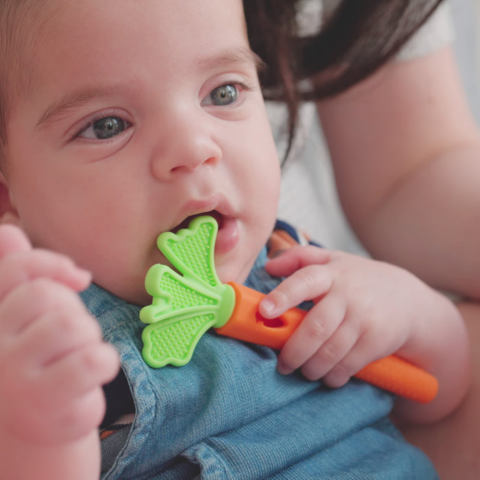 A baby sits in an adult’s lap, chewing on a Nuby Carrot Teether Set (2 Pack) in green and orange, enjoying the soothing comfort of these fun silicone teethers.