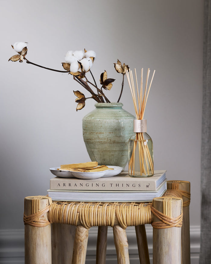 Circa Coconut & Watermelon Diffuser