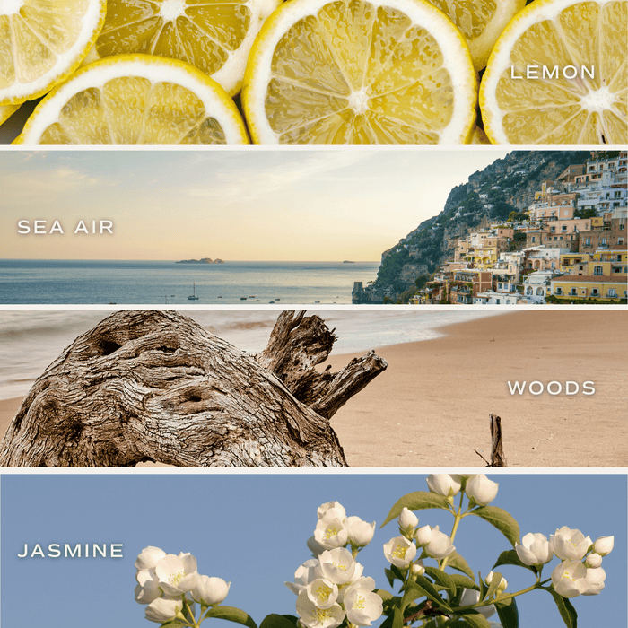 Coastal Lemon 12 oz Soy Candle, Blue Tinted Floral Jar - Olita Gifts & Goods