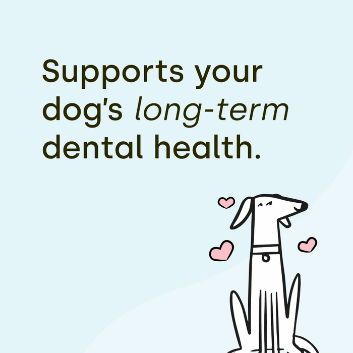 Dental Sticks Coconut.