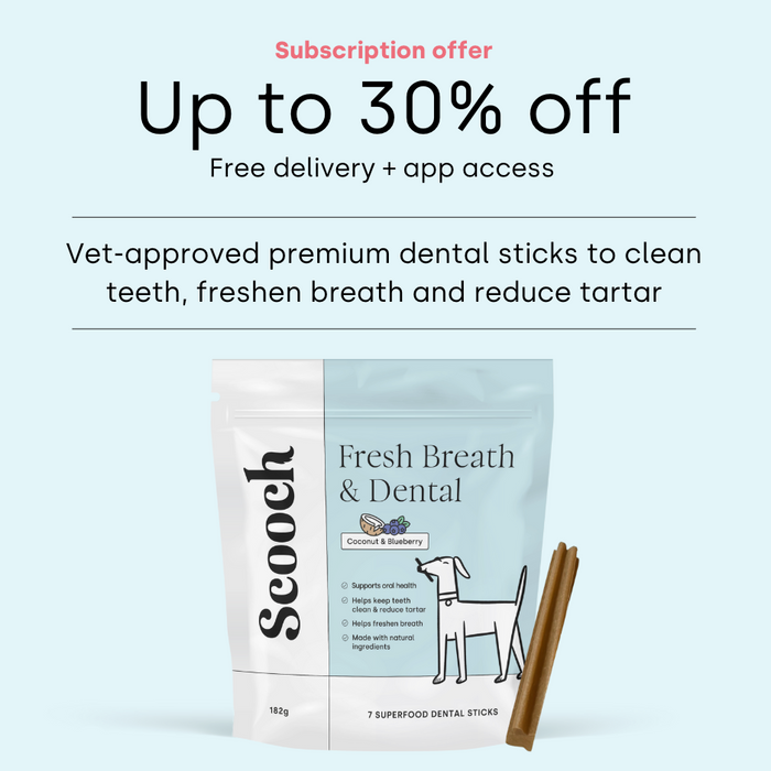 Dental Sticks Coconut.