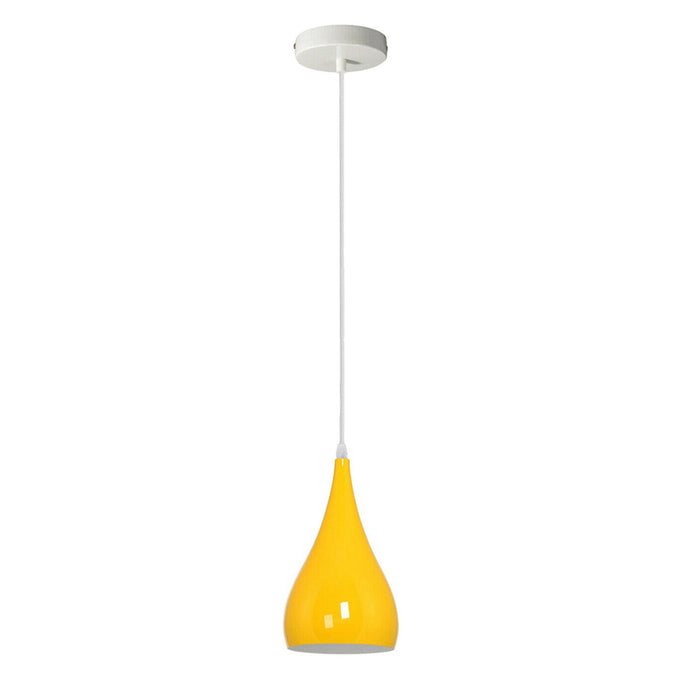 E27 Pendant Light With Metal Lampshade ~6153