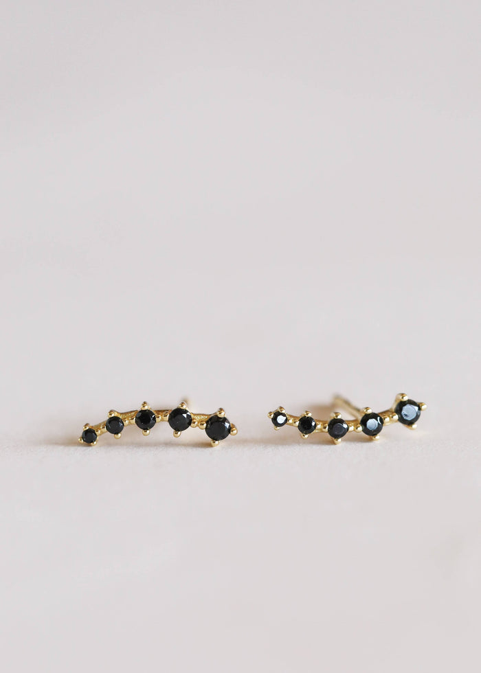 Earrings-Black Crawler