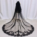 Wedding Veils - Black Lace Edge Cathedral Bridal Veil