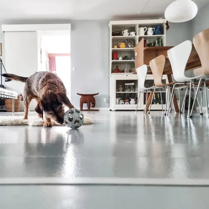 Enrichment & Fetch Dog Toy