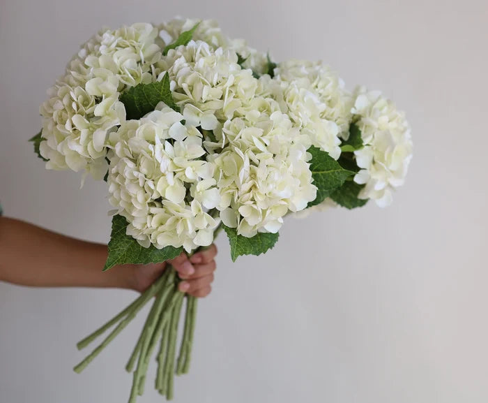 Faux Cream Hydrangea Stem - Magnolia Lane co. Home + Garden + Gift