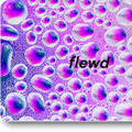 Gift Card Design 3