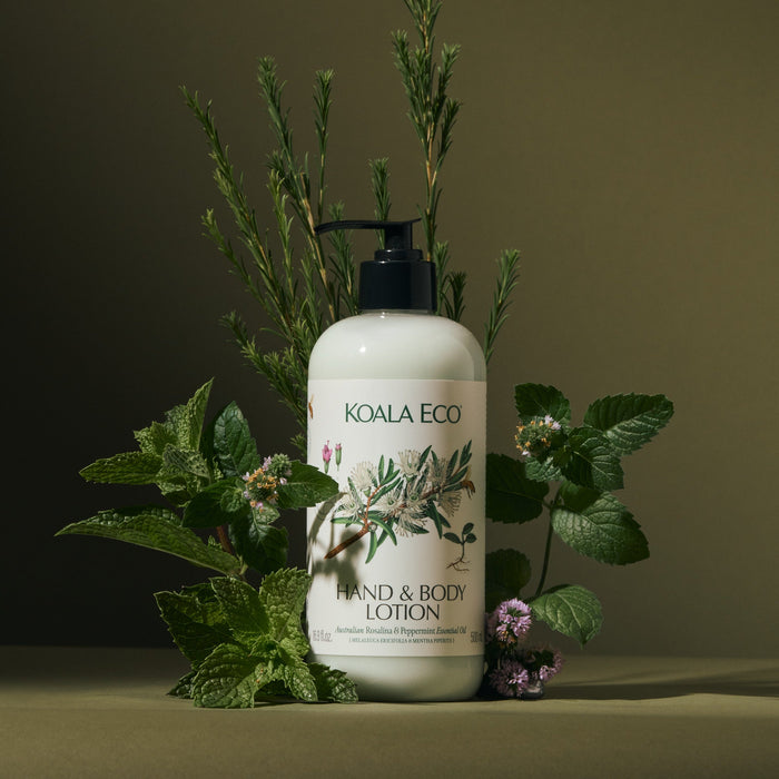 Hand & Body Lotion
