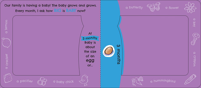 How Big Is Baby Now? by Maryann Cocca-Leffler