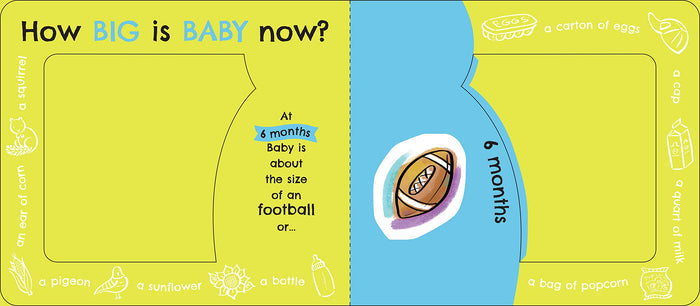 How Big Is Baby Now? by Maryann Cocca-Leffler