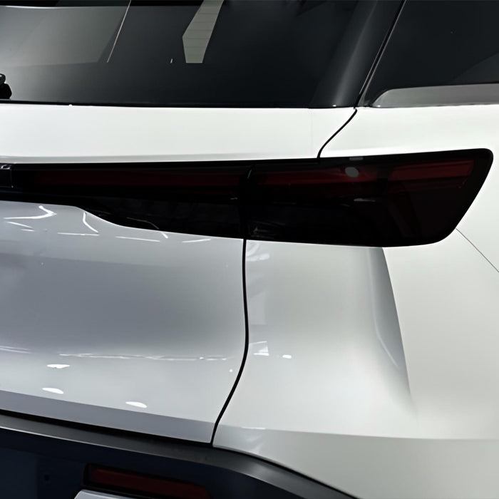 Rear Tint Kit (DARK)