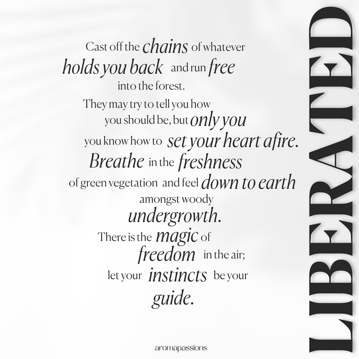 Le Labo Santal 33 Alternative - aromapassions