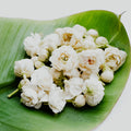 A cluster of white jasmine flowers on a green leaf.