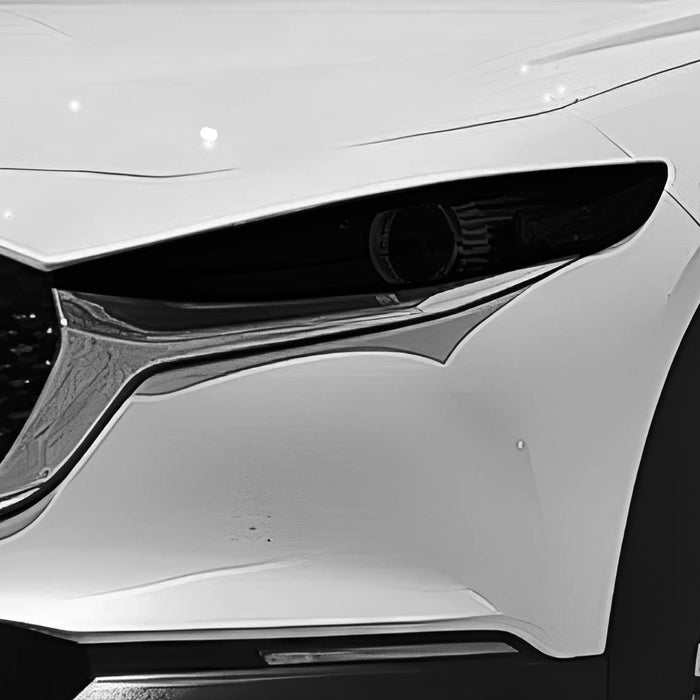 Front Tint Kit (DARK)
