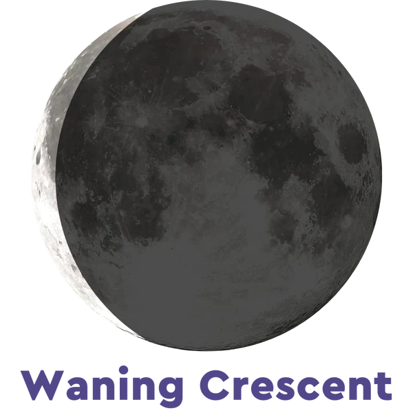 Moonglow Necklace CD