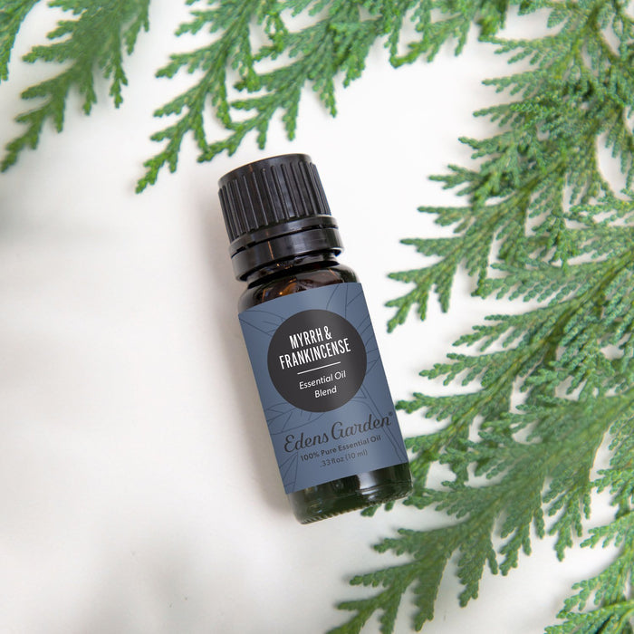 Myrrh & Frankincense Essential Oil Blend bottle among cedar branches