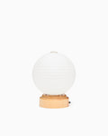 Nature Paper Lamp - Fruit