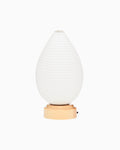 Nature Paper Lamp - Seed