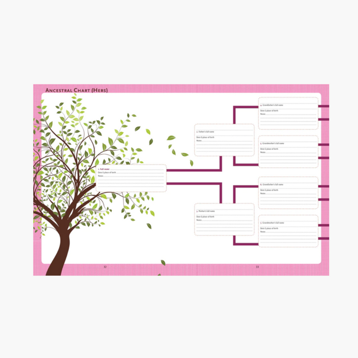 PETER PAUPER Guided Book - Our Family Tree