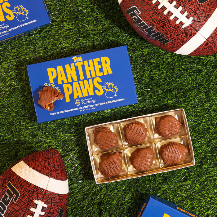 Pitt Panther Paws