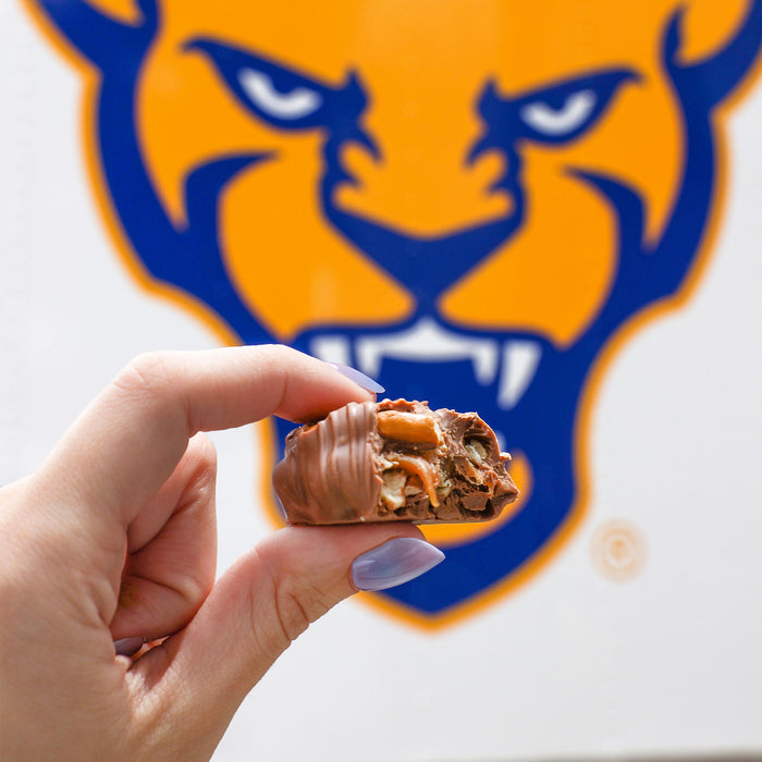 Pitt Panther Paws