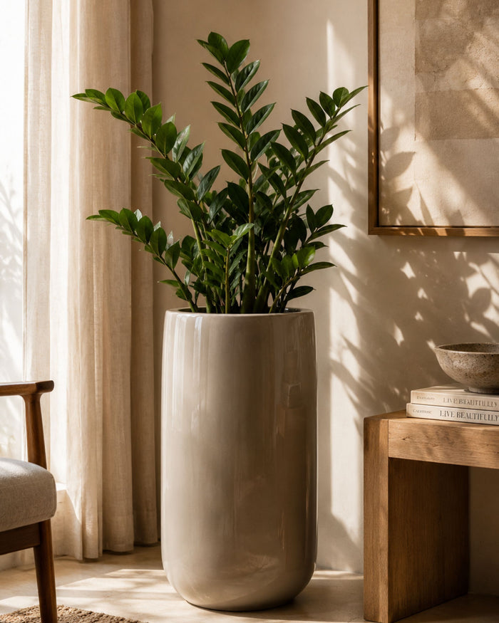 Premsons® Large Beige Planter for Indoor Plants