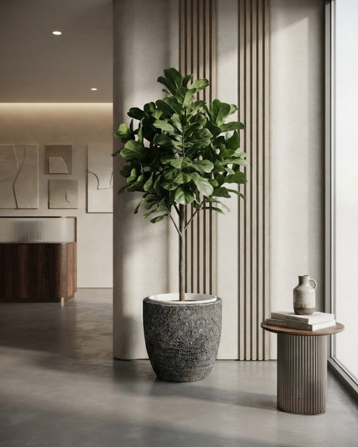 Round decorative planter in dark gray textured finish, holding a leafy indoor plant