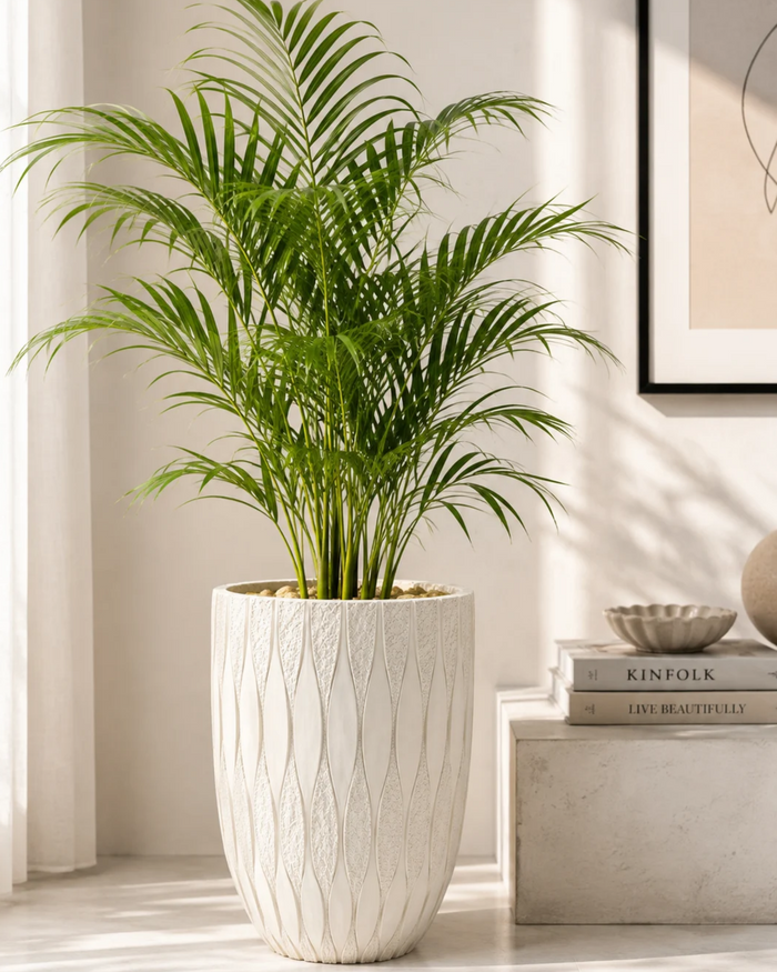 Textured leaf-pattern decorative planter, white pot with vertical leaf ridges and wide rim