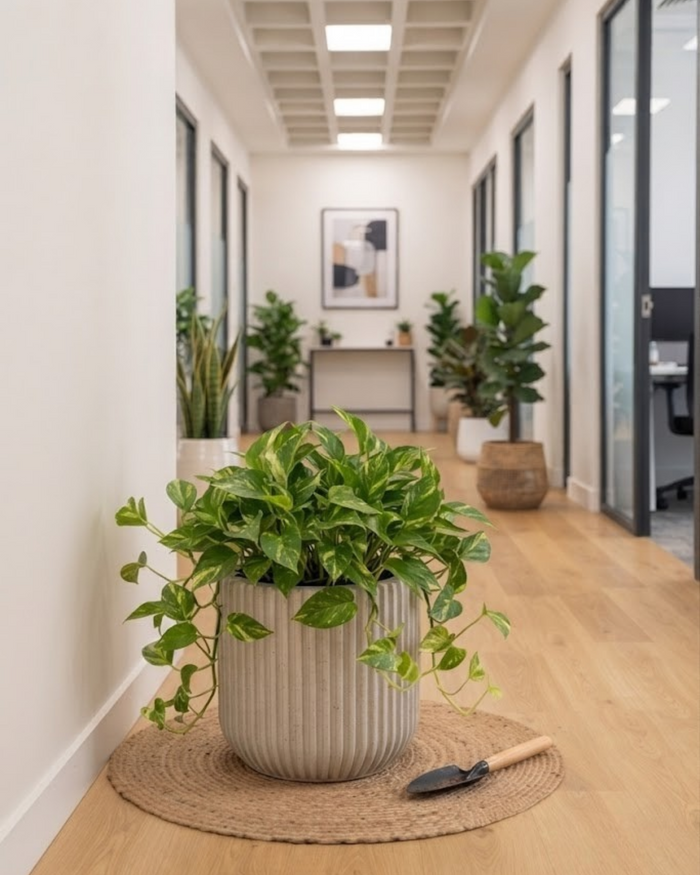 Vertical stripe planter with tall green plant, beige vertical stripe texture