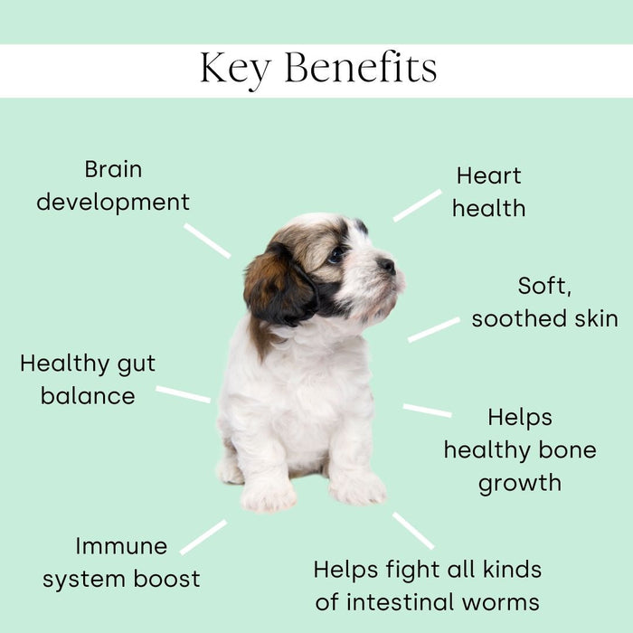 Puppy All-In-One.