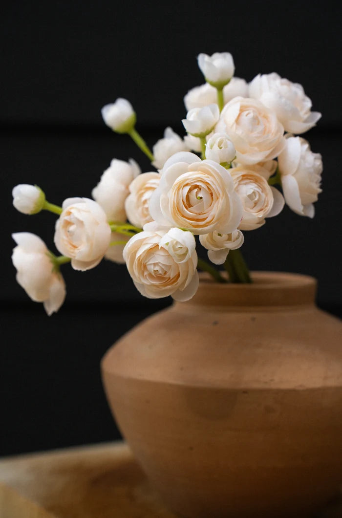 Ranunculus Bouquet, Cream - Magnolia Lane co. Home + Garden + Gift